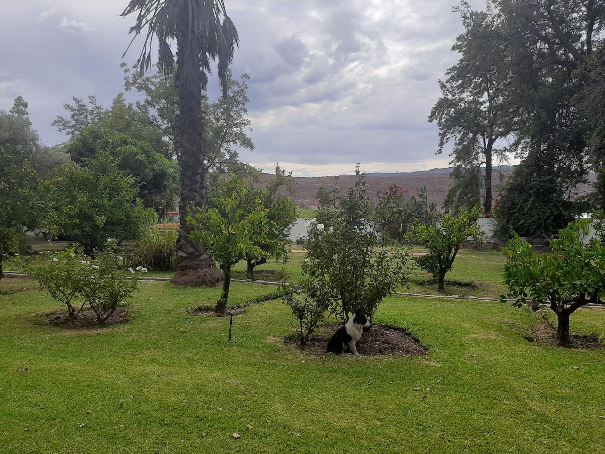 קלאנוויליאם Rosenhof Nut Hut Cottage מראה חיצוני תמונה